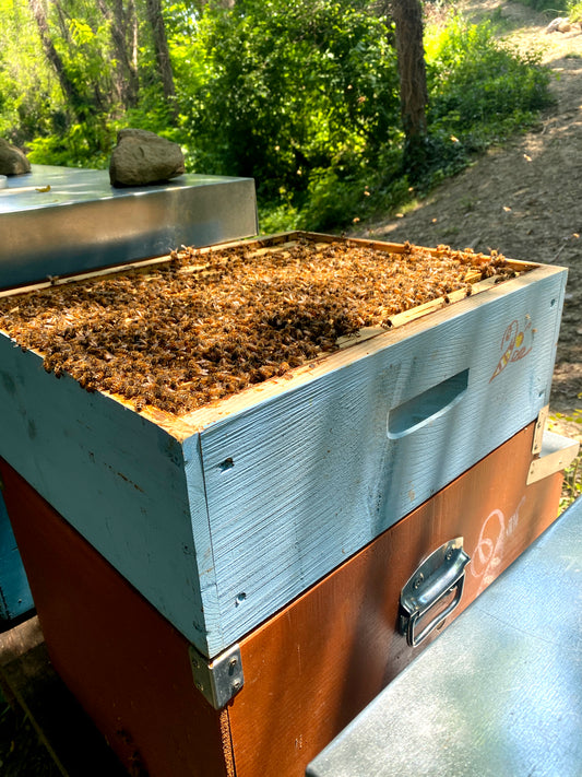 Crema corpo miele e cera d'api