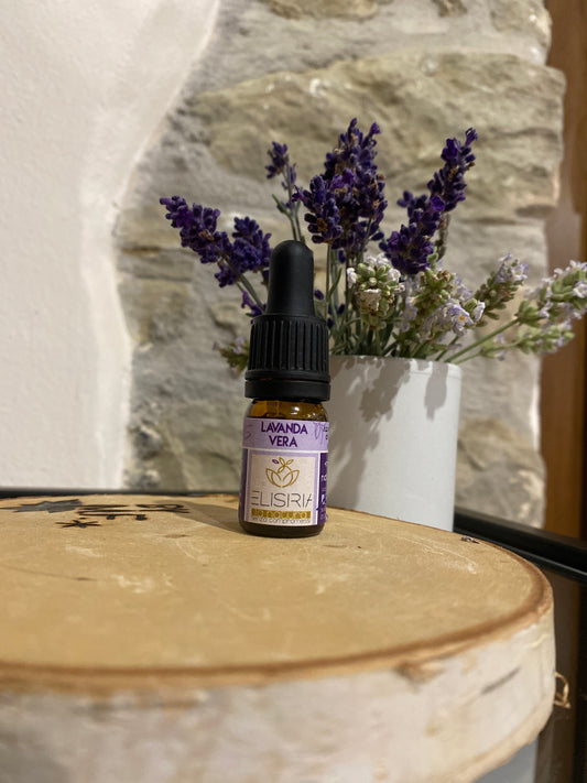 Olio essenziale di lavanda vera
